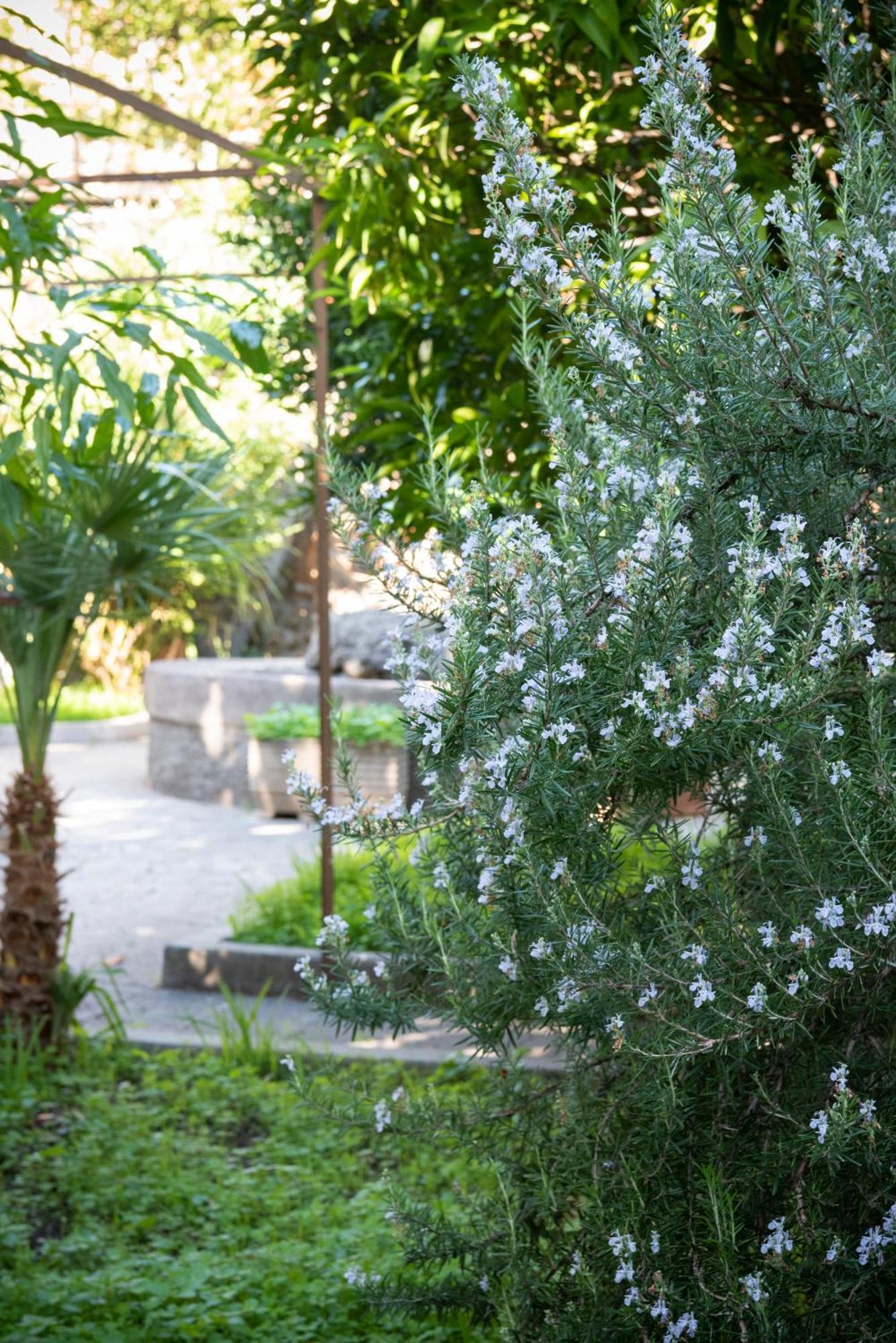 Residenza Leone XIII Otel Roma Dış mekan fotoğraf